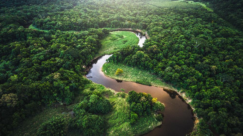 Schneider Electric outperforms 2023 sustainability targets and maintains its leadership in ESG ratings